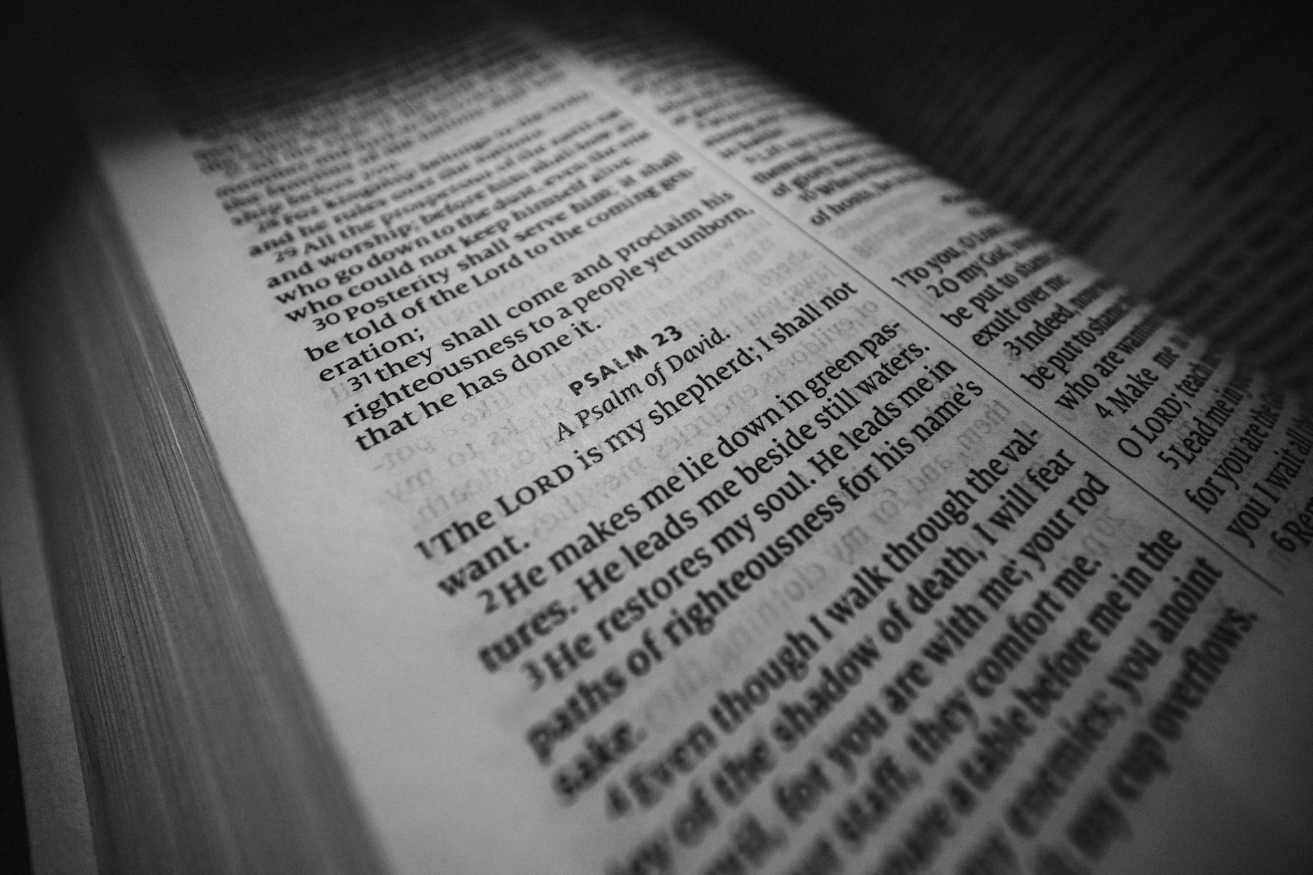 pexels-photo-35644072.jpeg