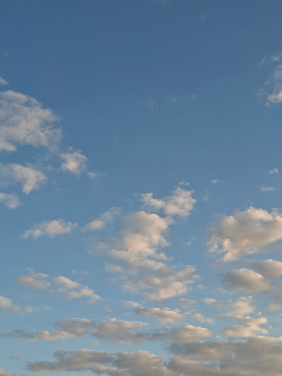 beautiful blue sky with fluffy clouds